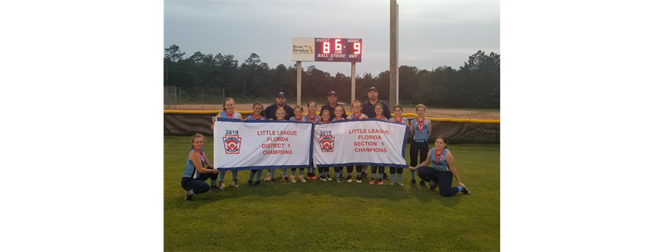 2019 10-12 Softball District Champions